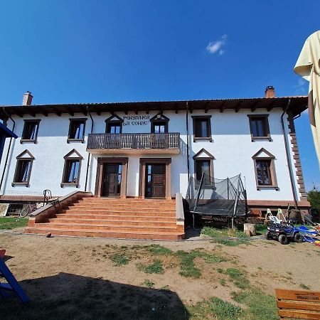 Pensiunea La Conac Birlad Экстерьер фото